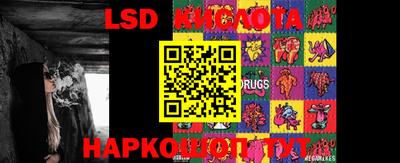 прущие грибы Новодвинск
