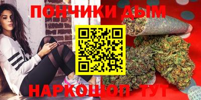 прущие грибы Новодвинск